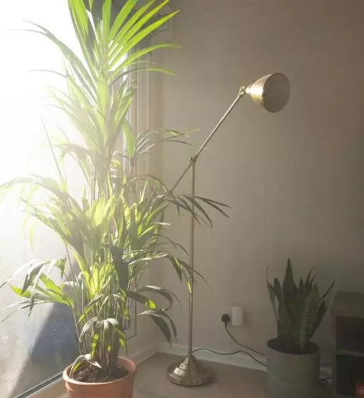 ペンション Studio Cabin In Belfast