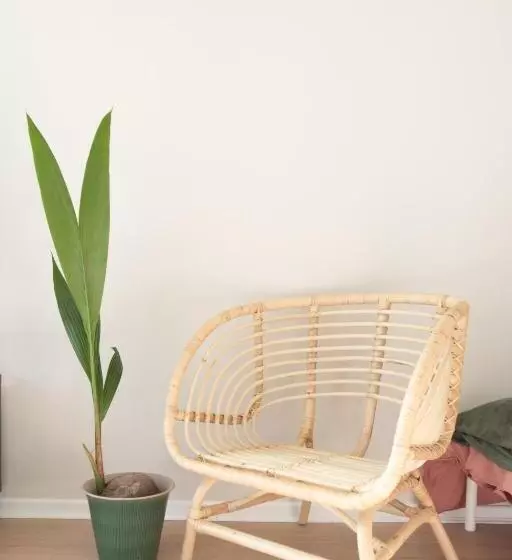 ペンション Studio Cabin In Belfast