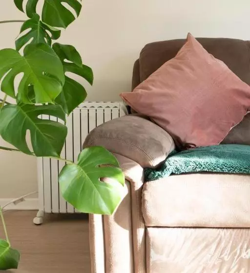 ペンション Studio Cabin In Belfast