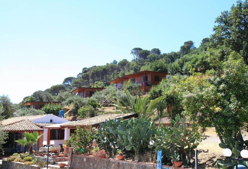 Nocleg ze śniadaniem Mareblu