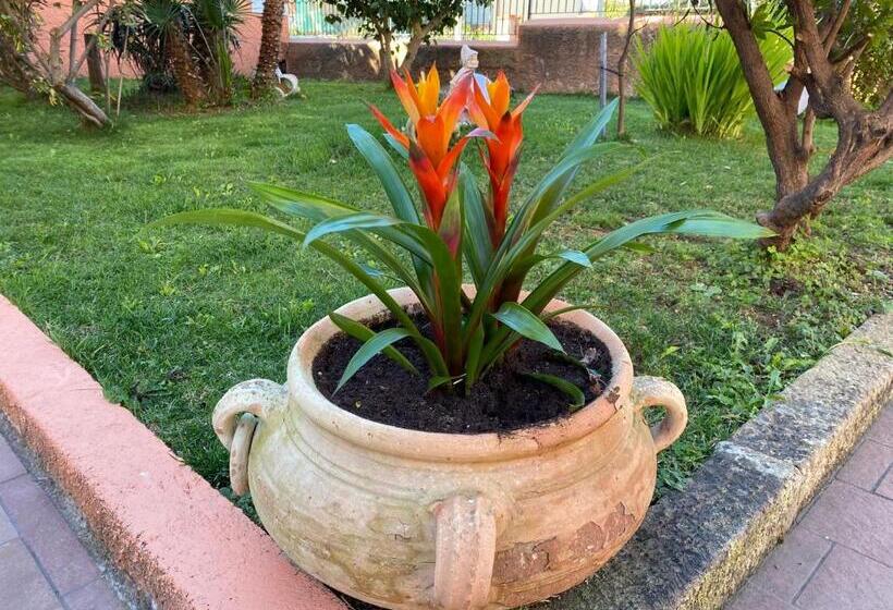 مبيت وإفطار Villa Marogna