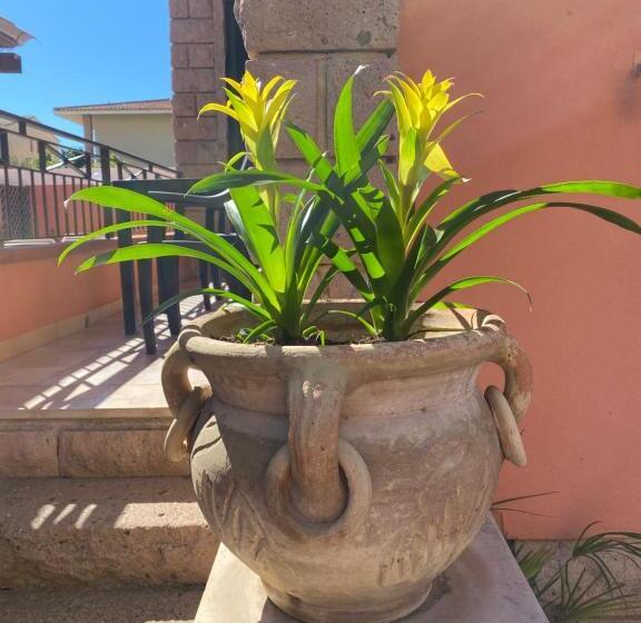 مبيت وإفطار Villa Marogna