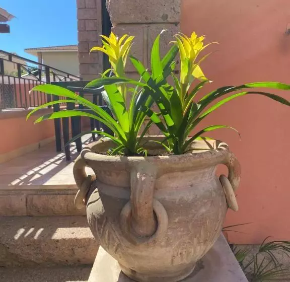 تختخواب و صبحانه Villa Marogna