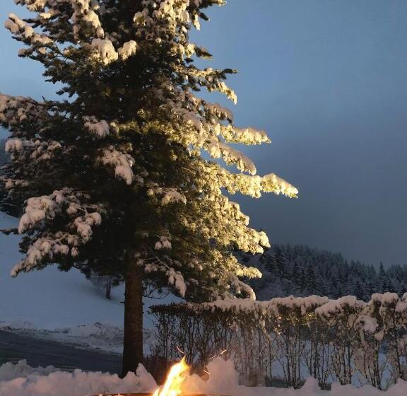 ホテル Gailerhof B&b Superior