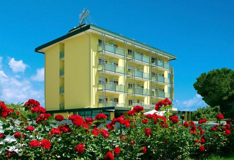 בית מלון כפרי Concordia 3s