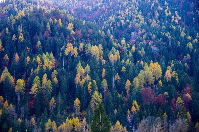 هتل Dolomiti Lodge Villa Gaia