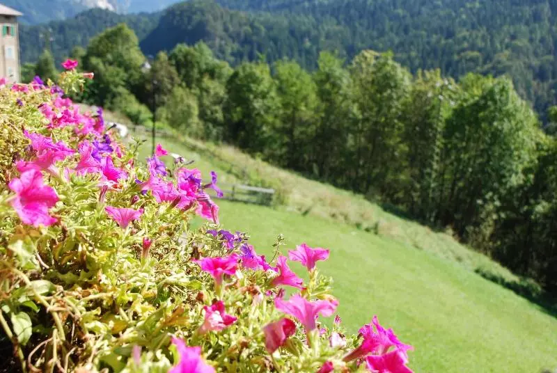 Hotelli Dolomiti Lodge Villa Gaia