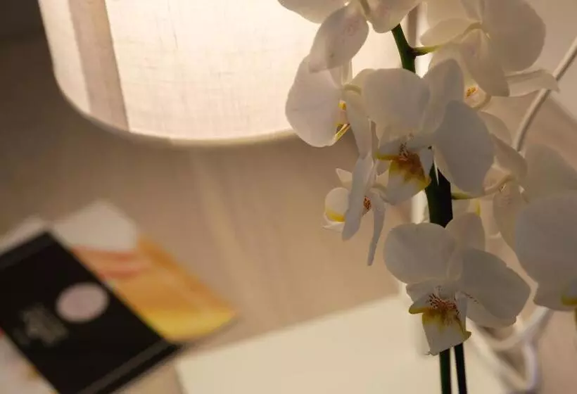 ホテル Ristorante Alla Vittoria