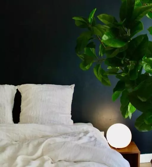 ベッドアンドブレックファースト Maison Merci   Maison D Hôtes