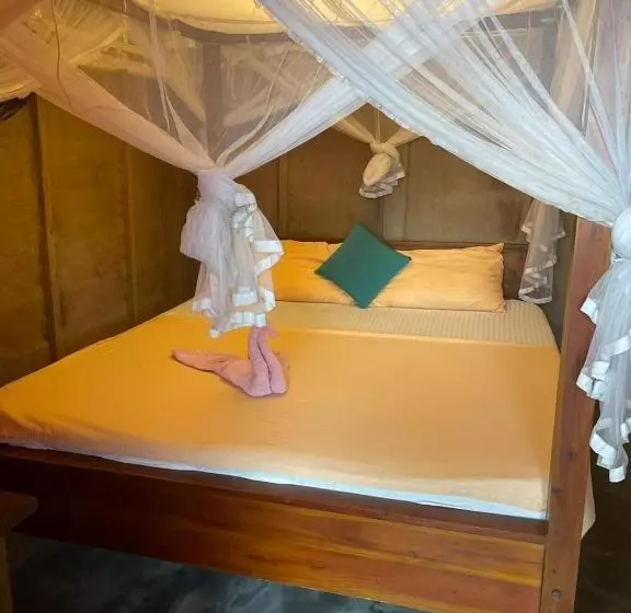 ベッドアンドブレックファースト Vitamin Sea Beach Hostel