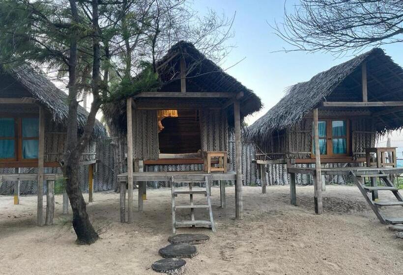 ベッドアンドブレックファースト Vitamin Sea Beach Hostel