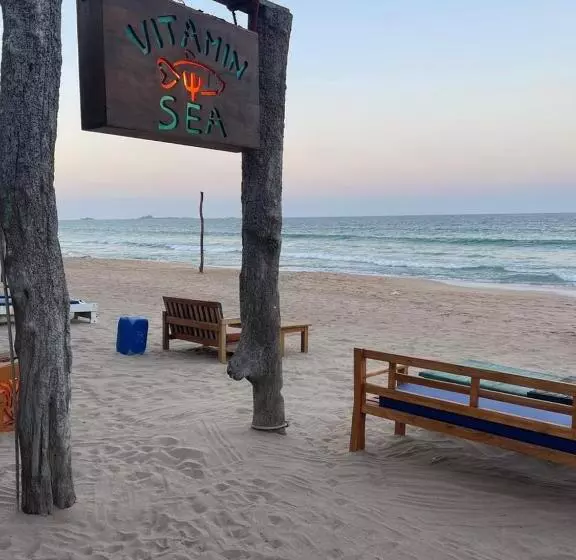 ベッドアンドブレックファースト Vitamin Sea Beach Hostel