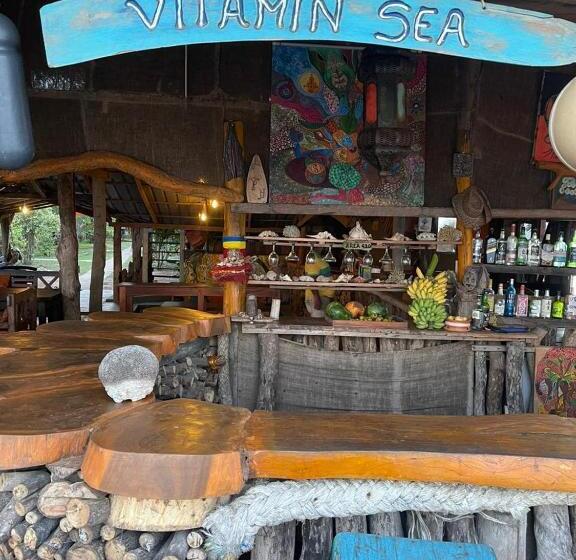 ベッドアンドブレックファースト Vitamin Sea Beach Hostel