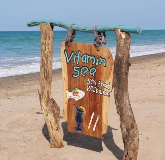 ベッドアンドブレックファースト Vitamin Sea Beach Hostel