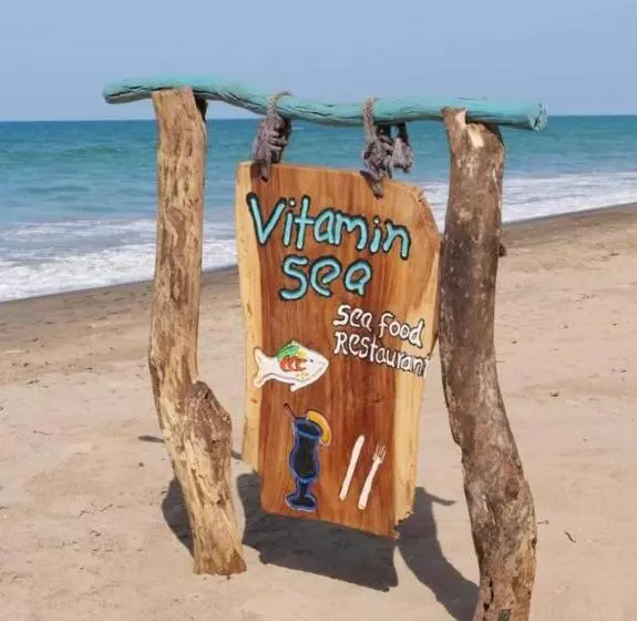 ベッドアンドブレックファースト Vitamin Sea Beach Hostel