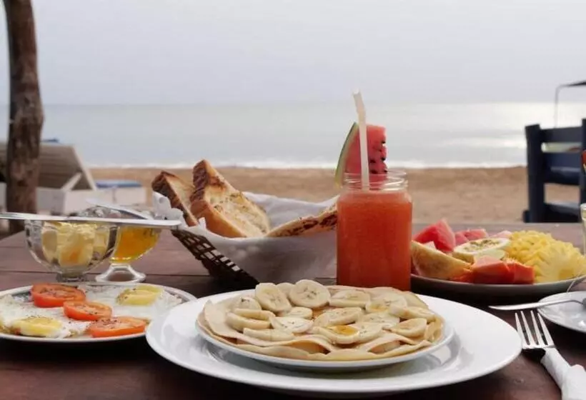 ベッドアンドブレックファースト Vitamin Sea Beach Hostel