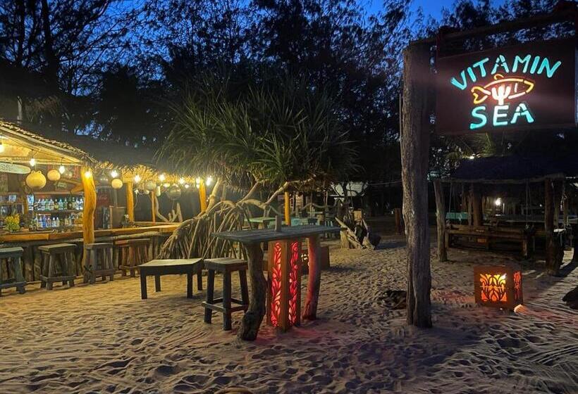 ベッドアンドブレックファースト Vitamin Sea Beach Hostel