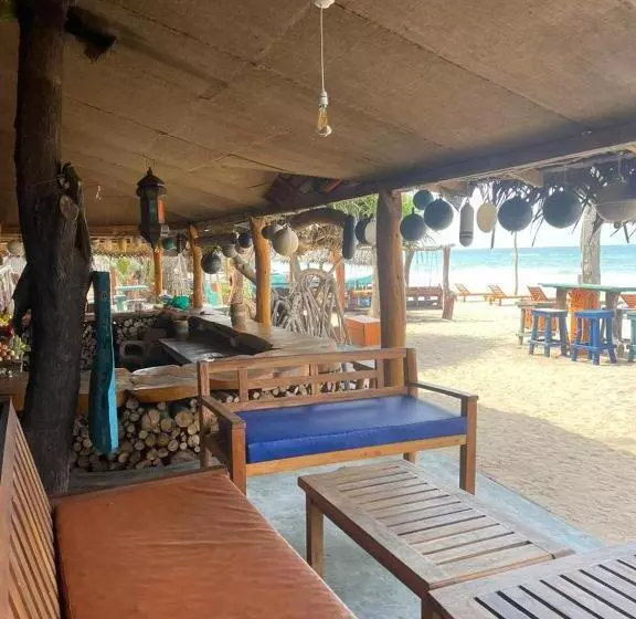 ベッドアンドブレックファースト Vitamin Sea Beach Hostel