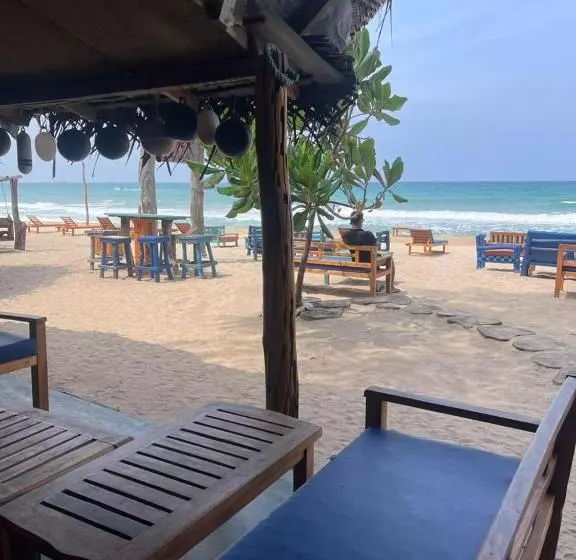 ベッドアンドブレックファースト Vitamin Sea Beach Hostel