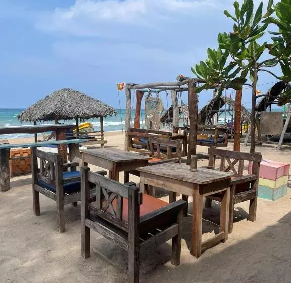 ベッドアンドブレックファースト Vitamin Sea Beach Hostel