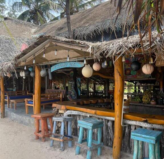 ベッドアンドブレックファースト Vitamin Sea Beach Hostel