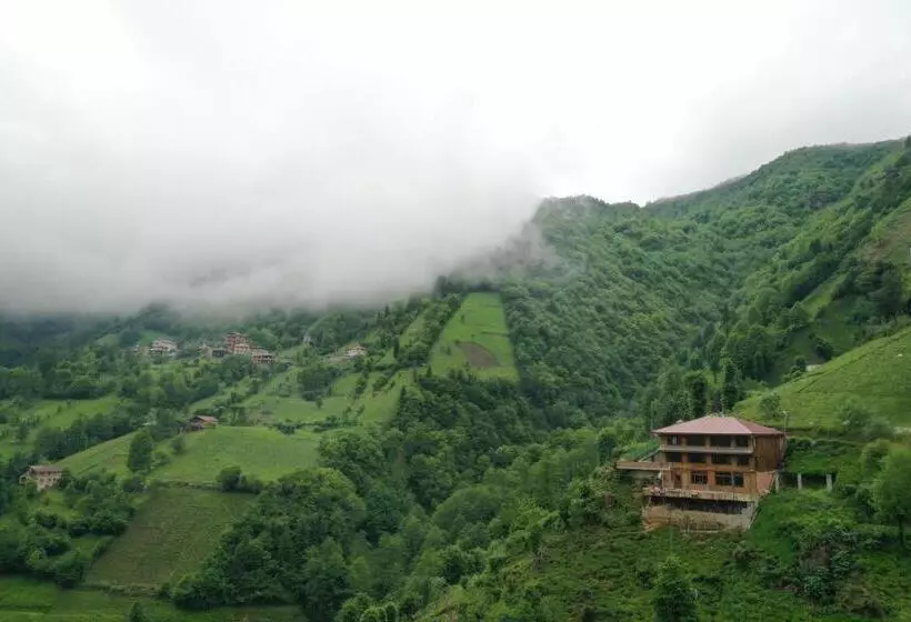 ホテル Kinya Bungalov