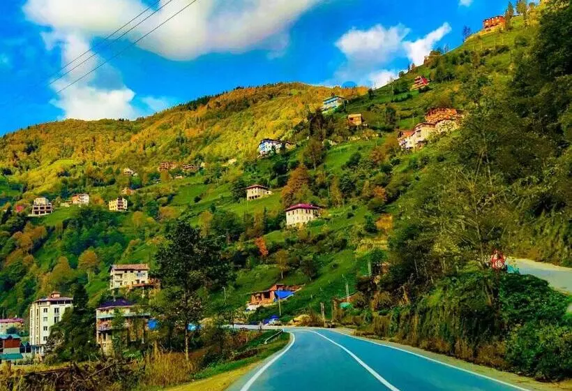 ホテル Kinya Bungalov