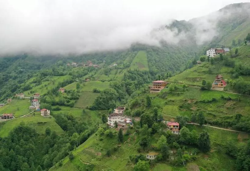 ホテル Kinya Bungalov