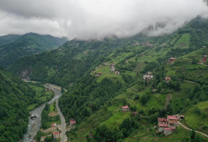 酒店 Kinya Bungalov