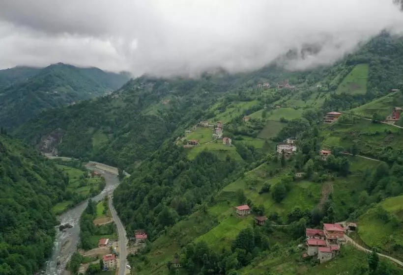 ホテル Kinya Bungalov