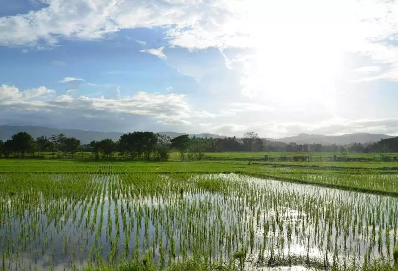 Hotelli Paglinawan Organic Eco Farm