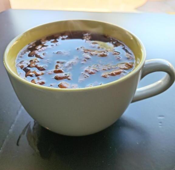 Hôtel Punta Galeria