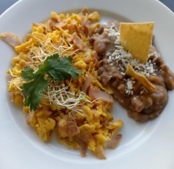 Hôtel Punta Galeria