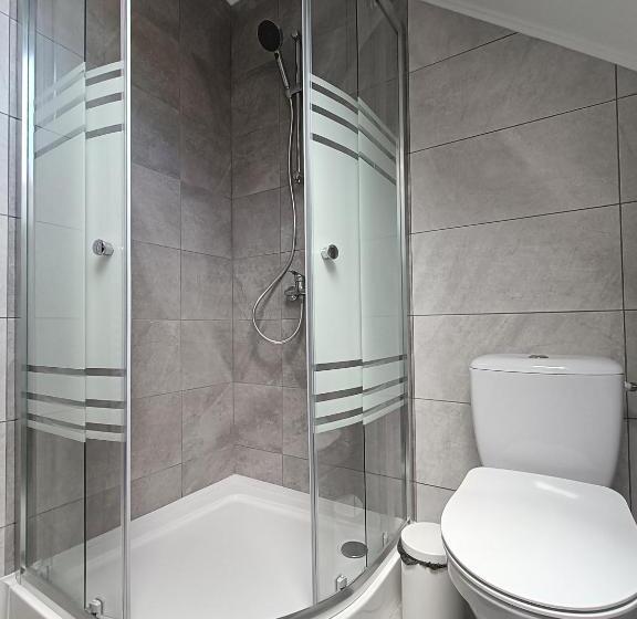 پانسیون Casa De Vacanță Zabpatak Vendégház