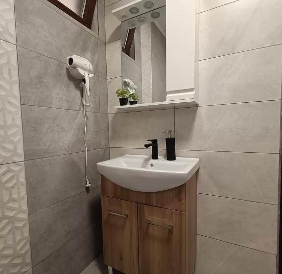 پانسیون Casa De Vacanță Zabpatak Vendégház