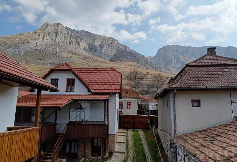 پانسیون Casa De Vacanță Zabpatak Vendégház
