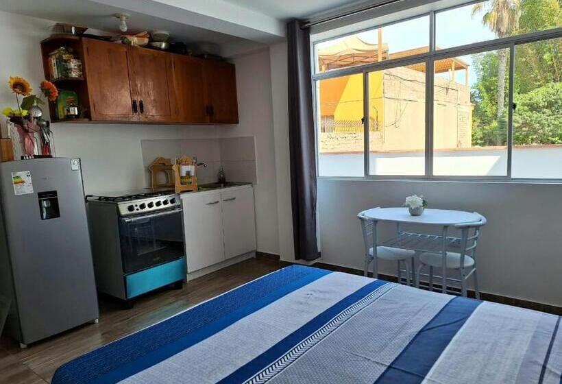 Pensionat Estudio O Monoambiente