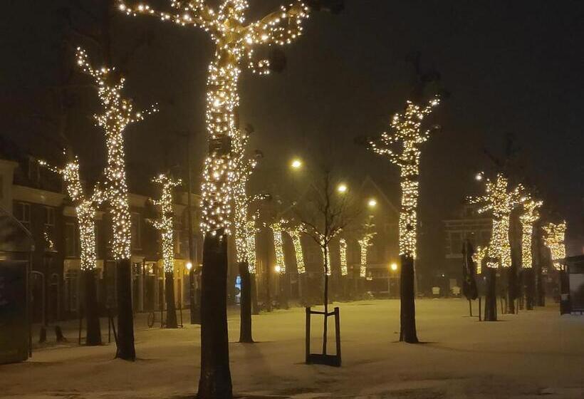 پانسیون The Sin Suite