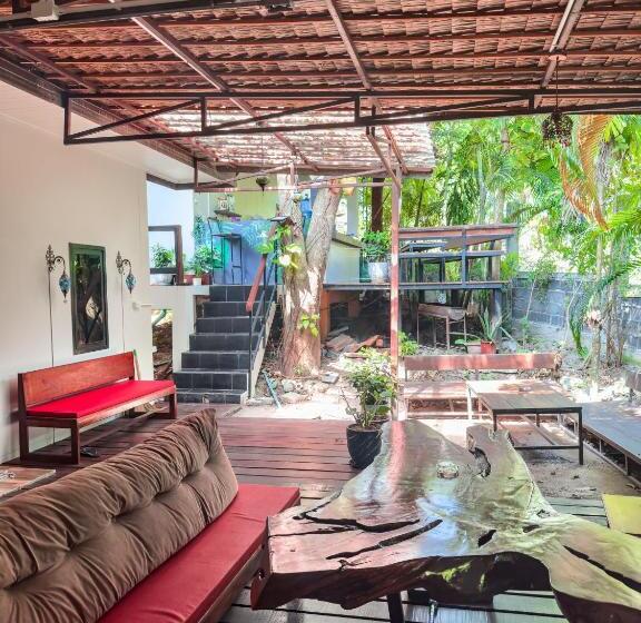 הוסטל Jungle Vibes