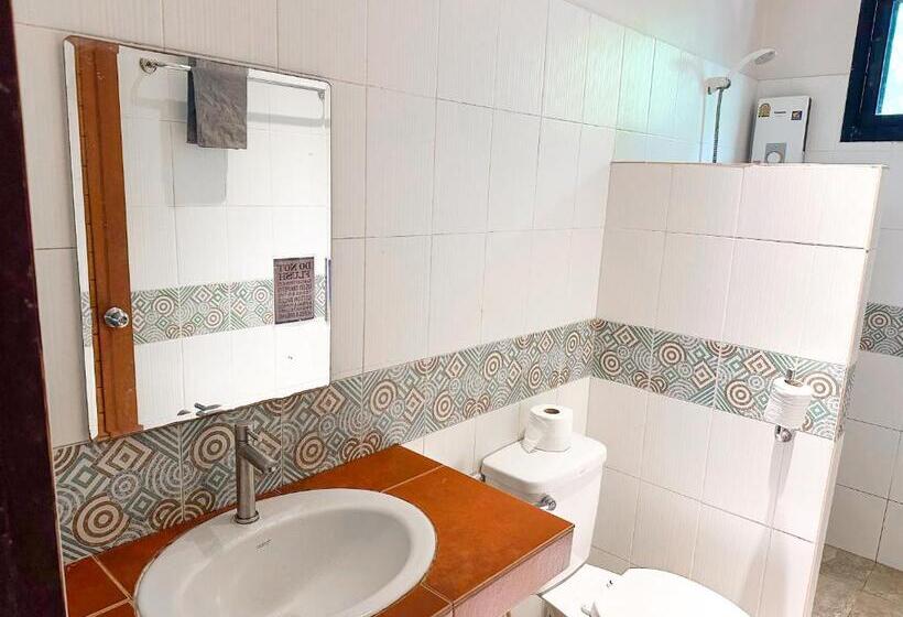 הוסטל Jungle Vibes