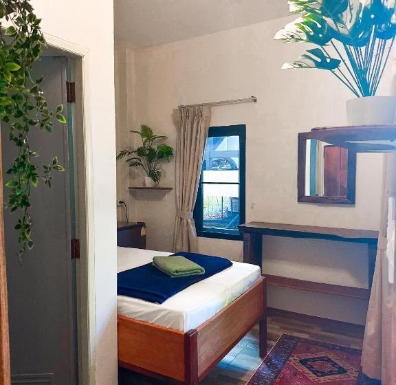 הוסטל Jungle Vibes