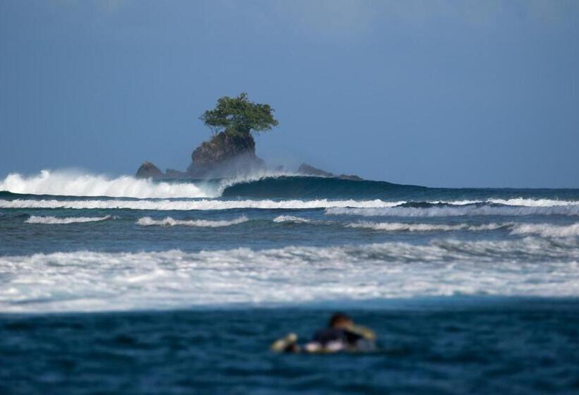 호텔 Villa Mentawai