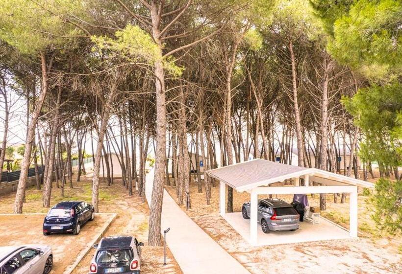 Resort Giglio Di Mare