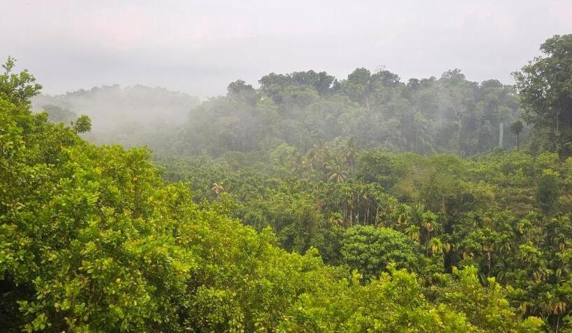 De Royale Montana Hotel And Resort