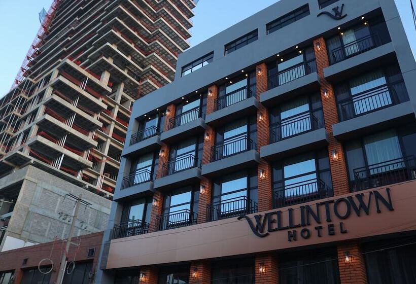 酒店 Wellintown