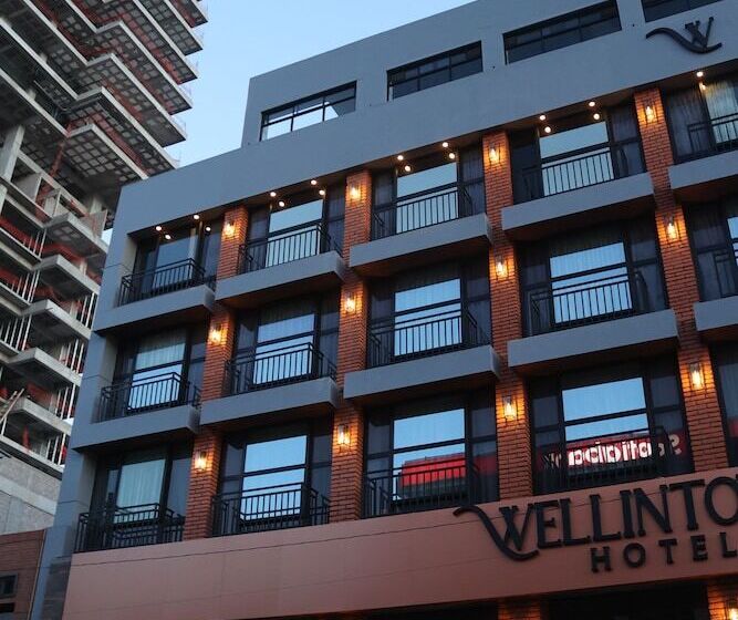 酒店 Wellintown