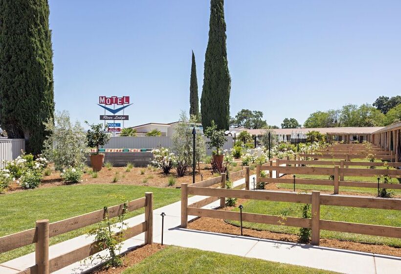 호텔 River Lodge Paso   21 & Over Pool