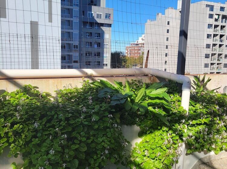 膳宿费 Montevideo Hostel