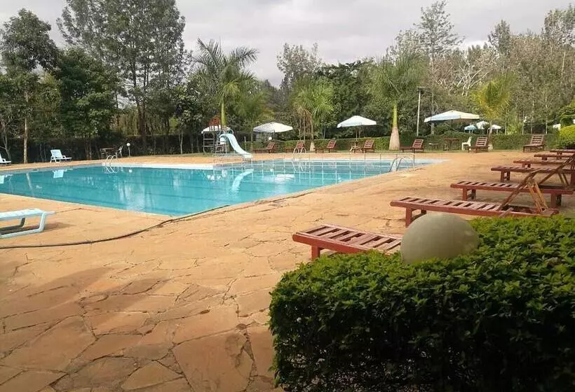 Trotters Hotel   Kenol