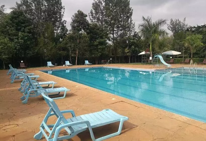 Trotters Hotel   Kenol